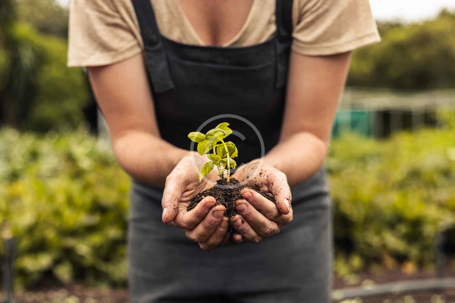 Garden clearance